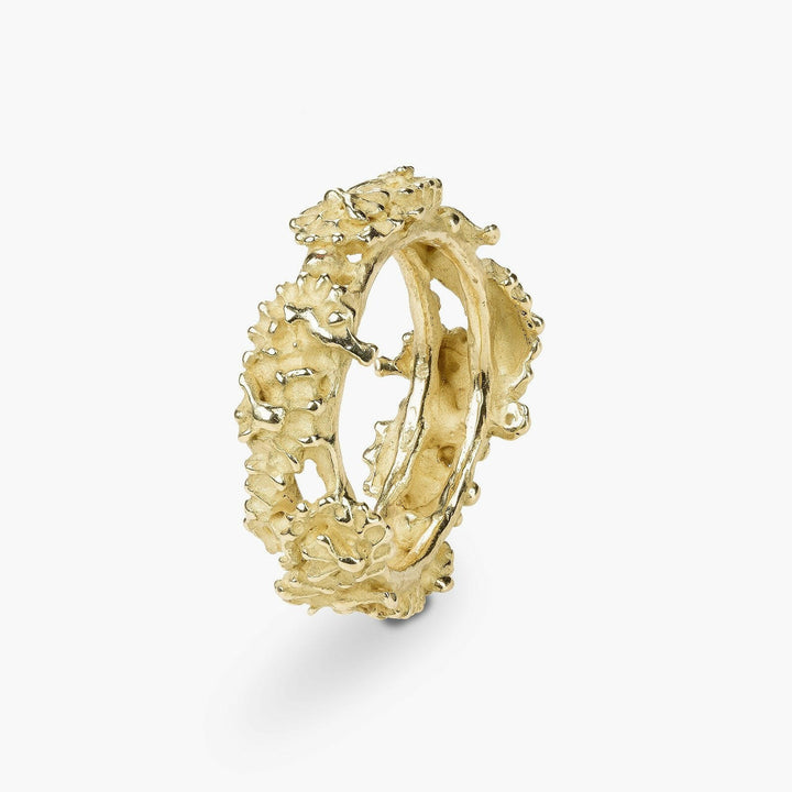 Tropical Seahorses Headband Ring S