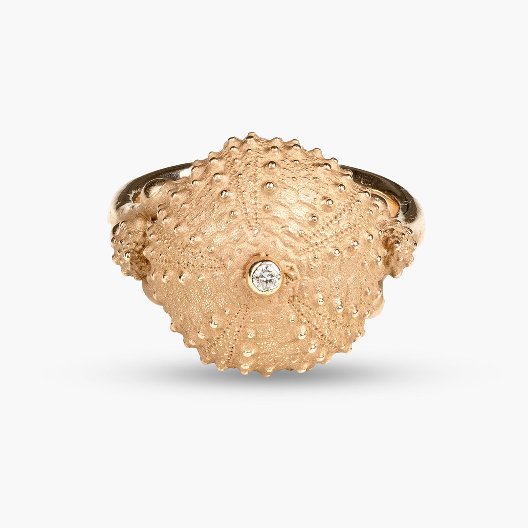 Sea urchin Ring M