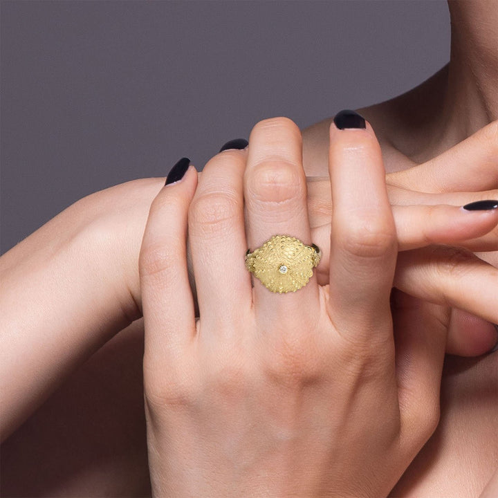 Anello Riccio M